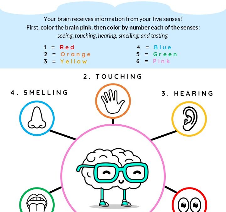 Brain-Based Emotional Intelligence for Pre-K and K by My Social Edge